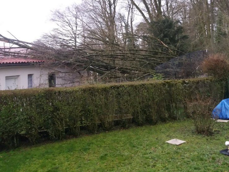 Arboretum de l'Abiétinée, Malzéville, France, France